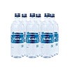 Вода питьевая «Legend of Baikal» негазированная 0,75 л, Стекло (упаковка 6 шт)